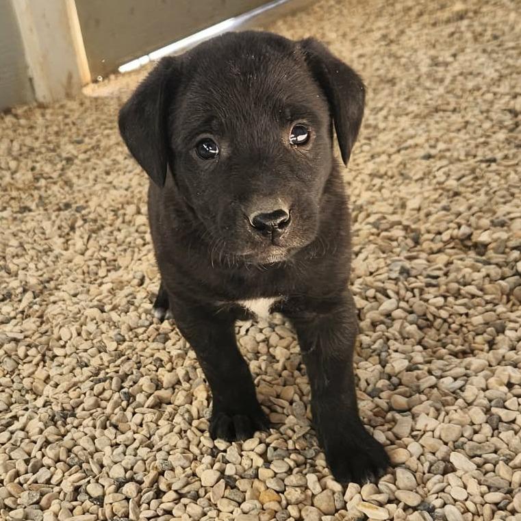 Dot JuM — thumbnail 2