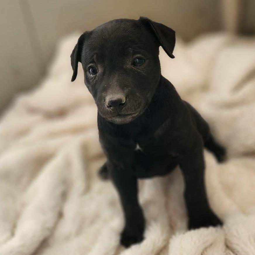 Dot JuM — thumbnail 5