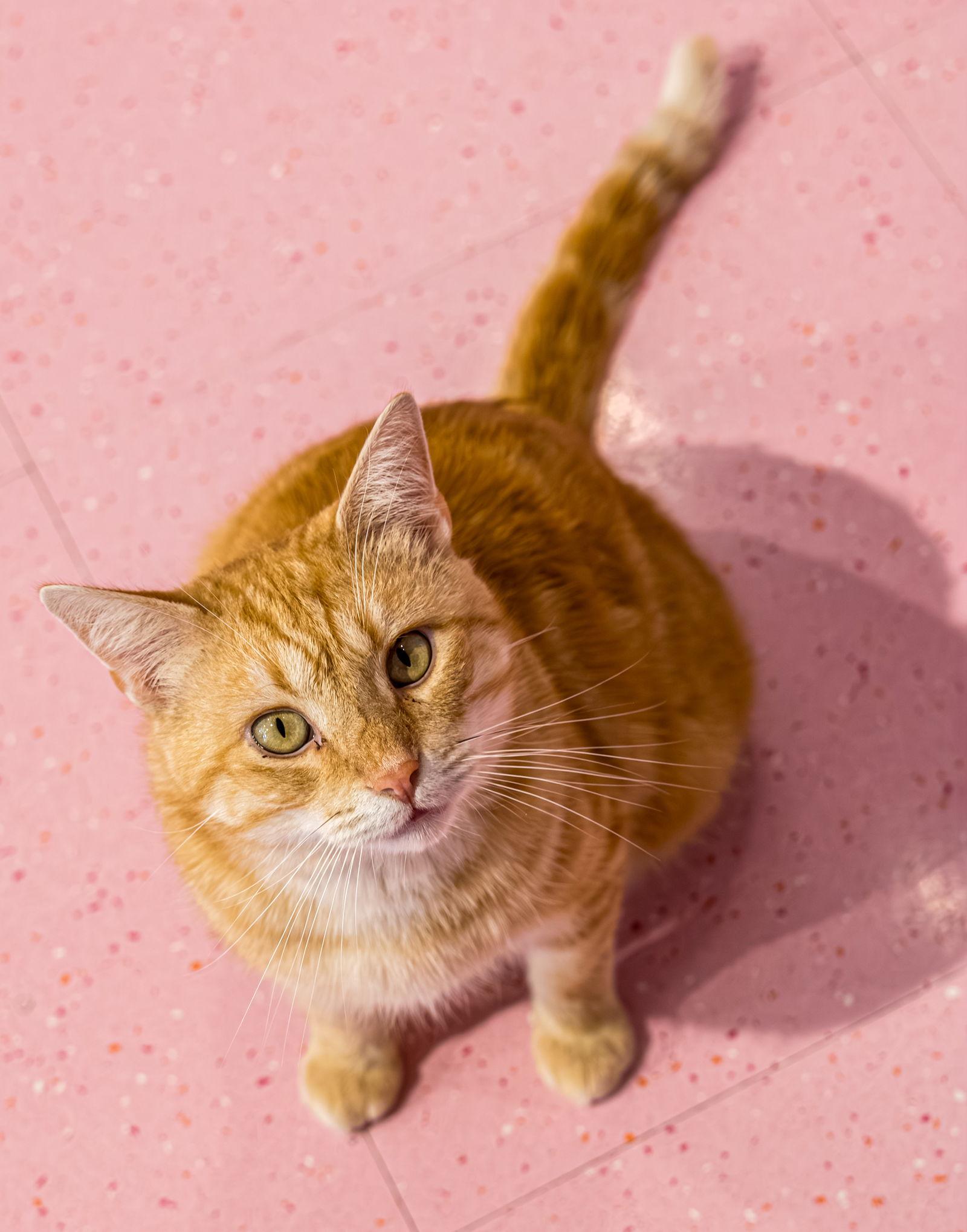 Lawrence  Kbc thumbnail 2