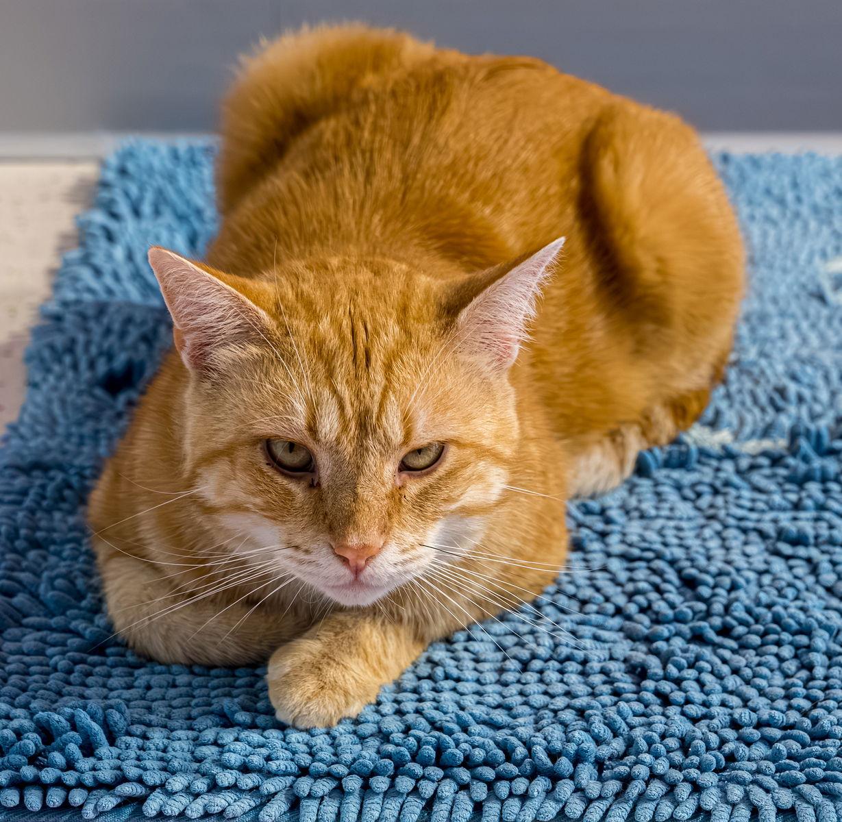 Lawrence  Kbc thumbnail 3