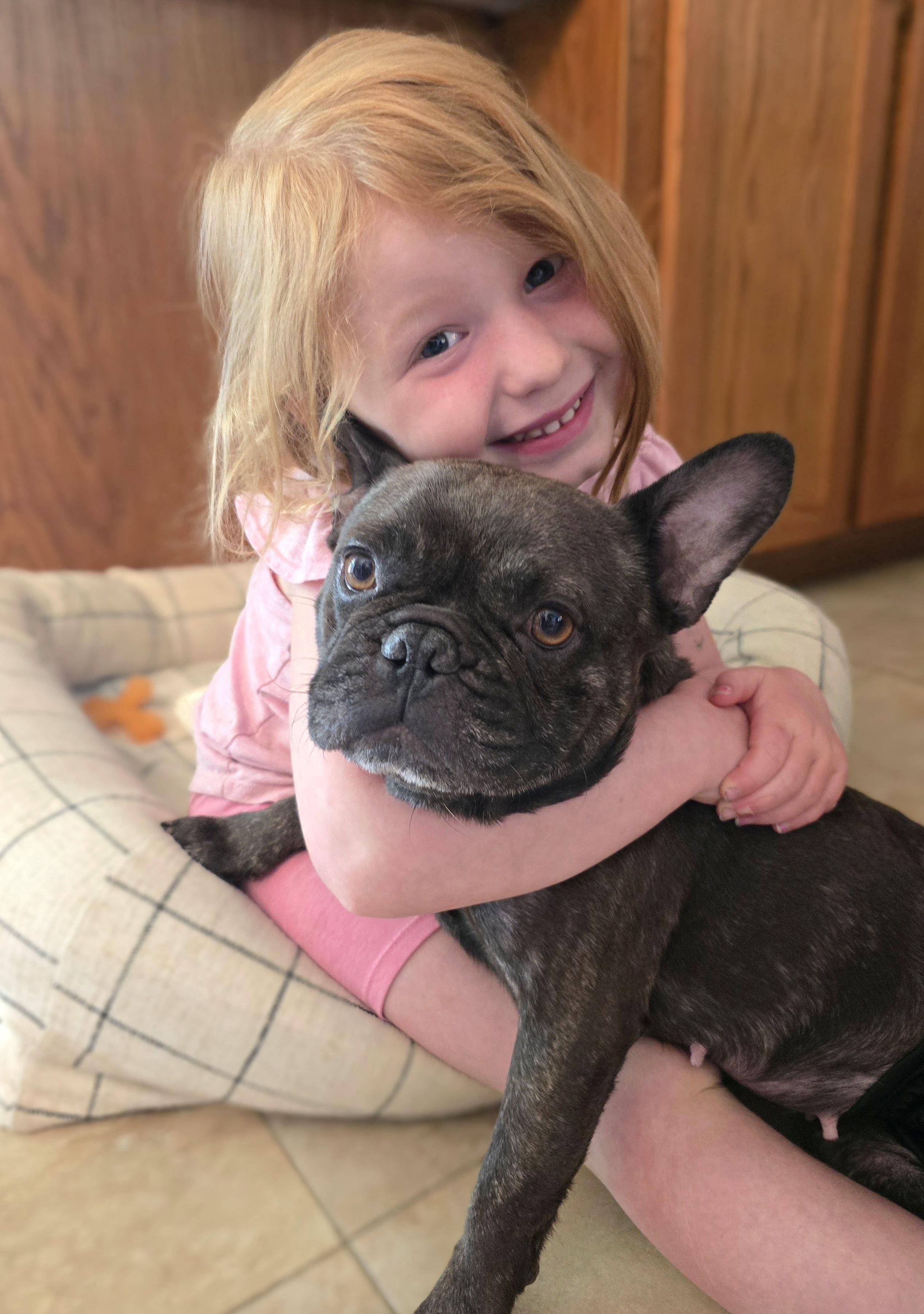 Gigi, an adopted French Bulldog in Cedar Rapids, IA image 3/6