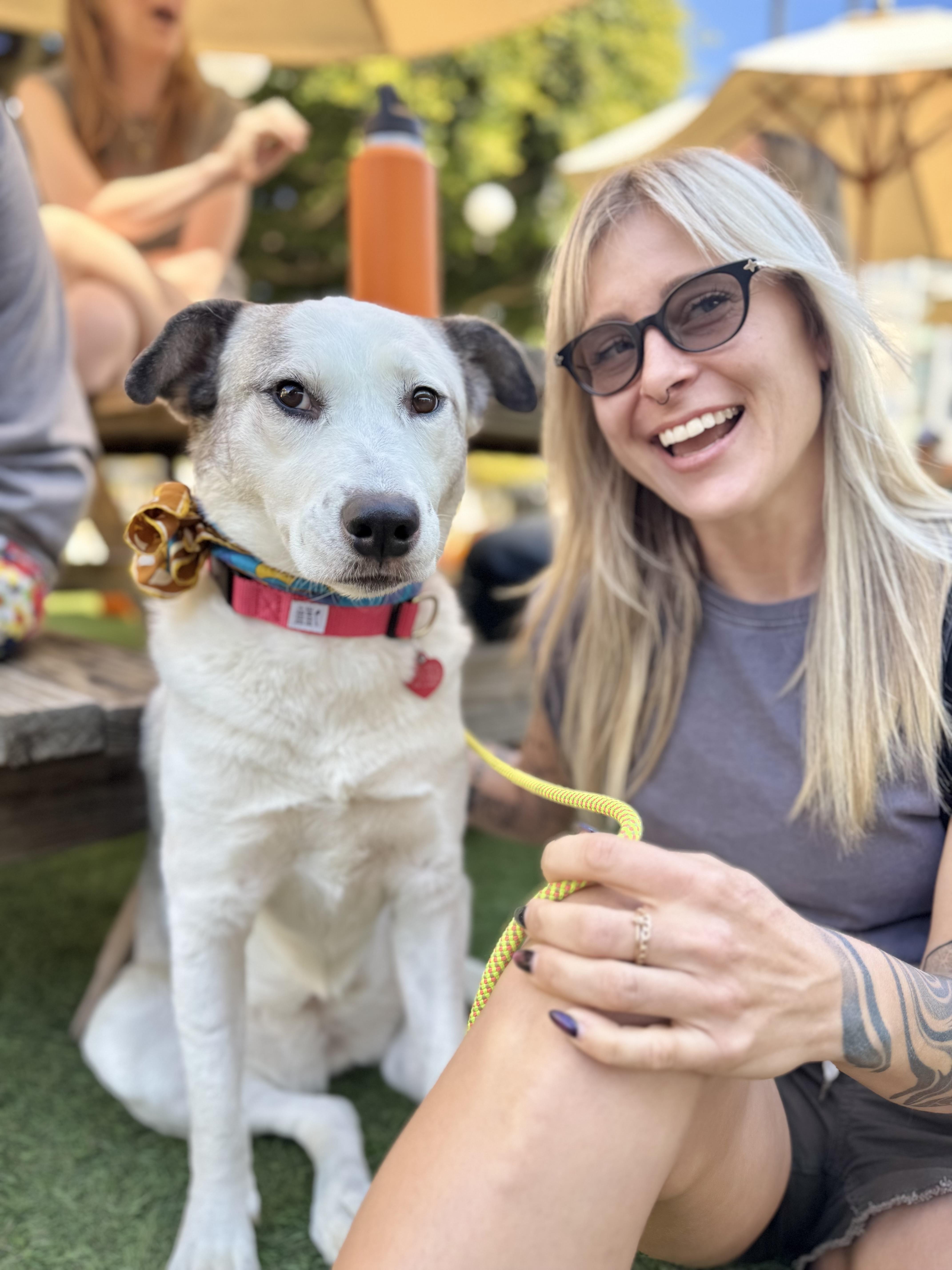 Enlarge Scallop, a Adoptable mixed breed in Los Angeles, CA image 4/6