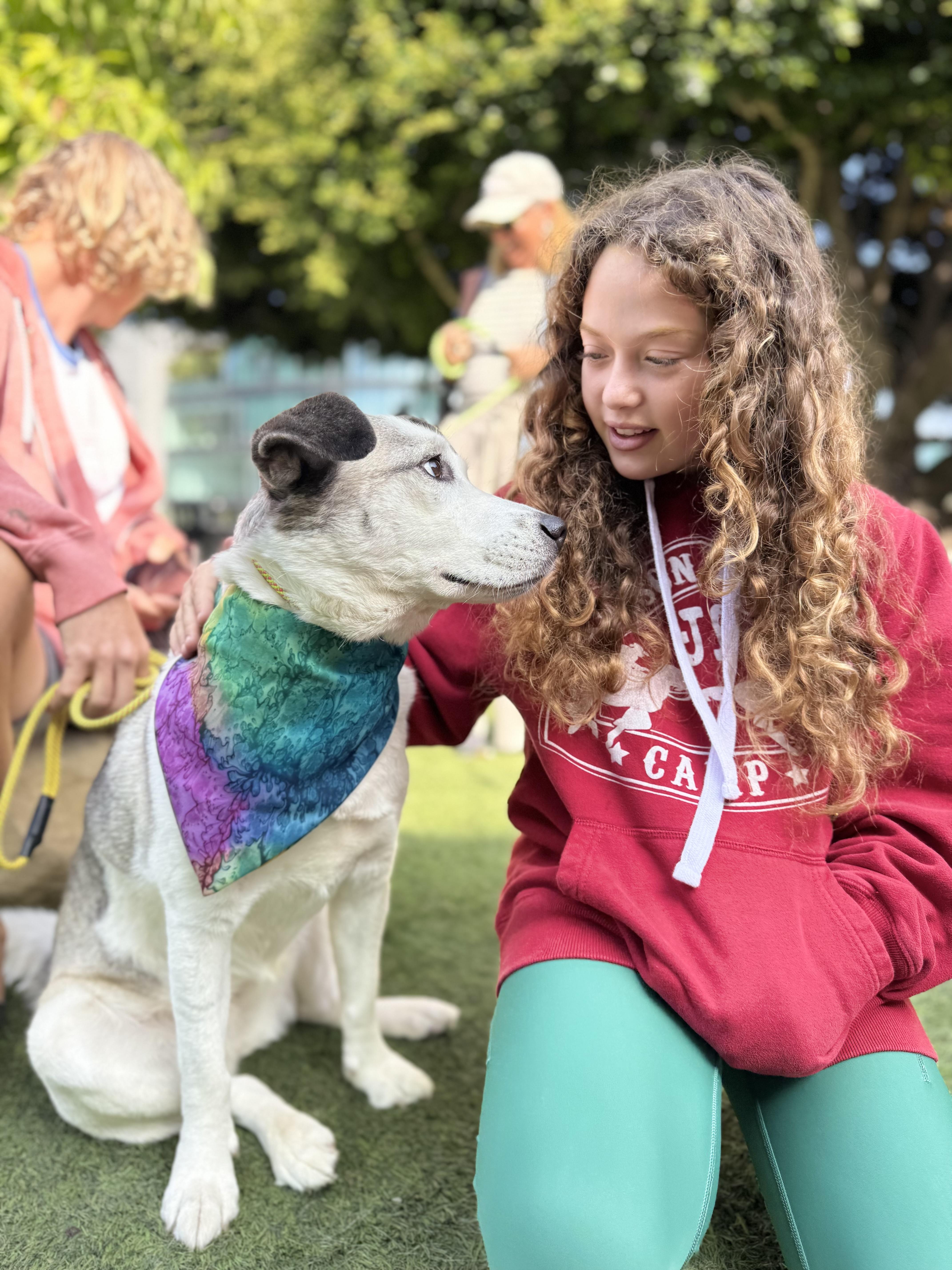 Enlarge Scallop, a Adoptable mixed breed in Los Angeles, CA image 2/6