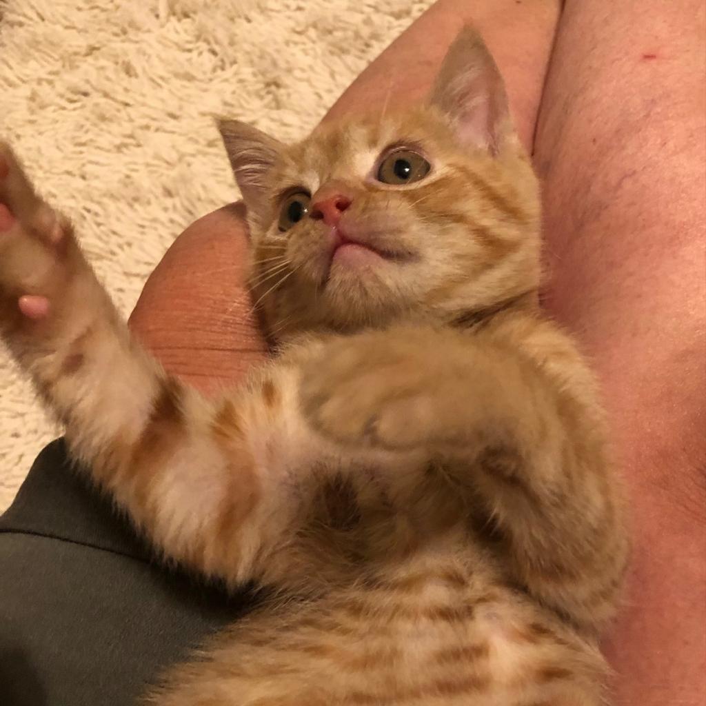 DeeDee — thumbnail 2