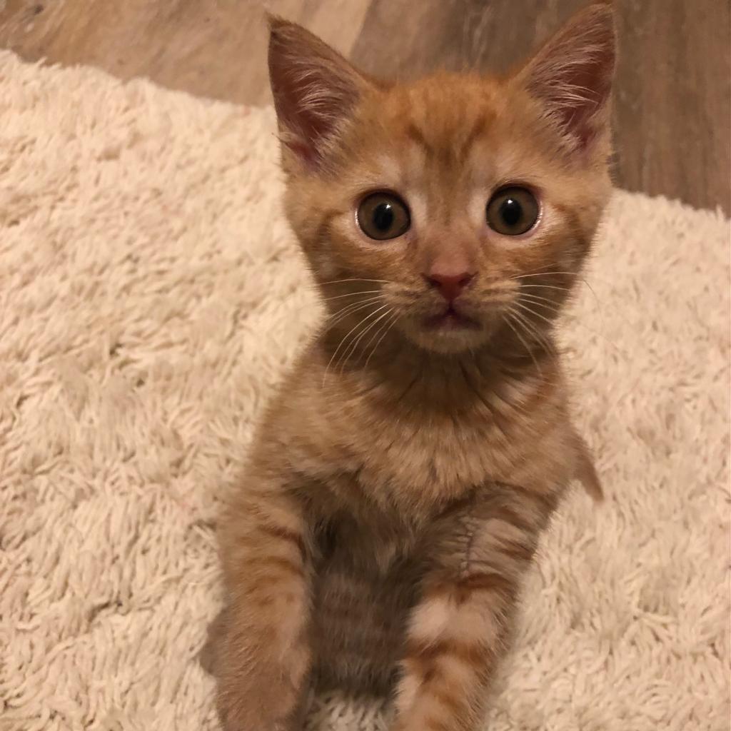 DeeDee — thumbnail 3