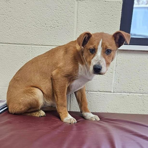 Mindy — thumbnail 2