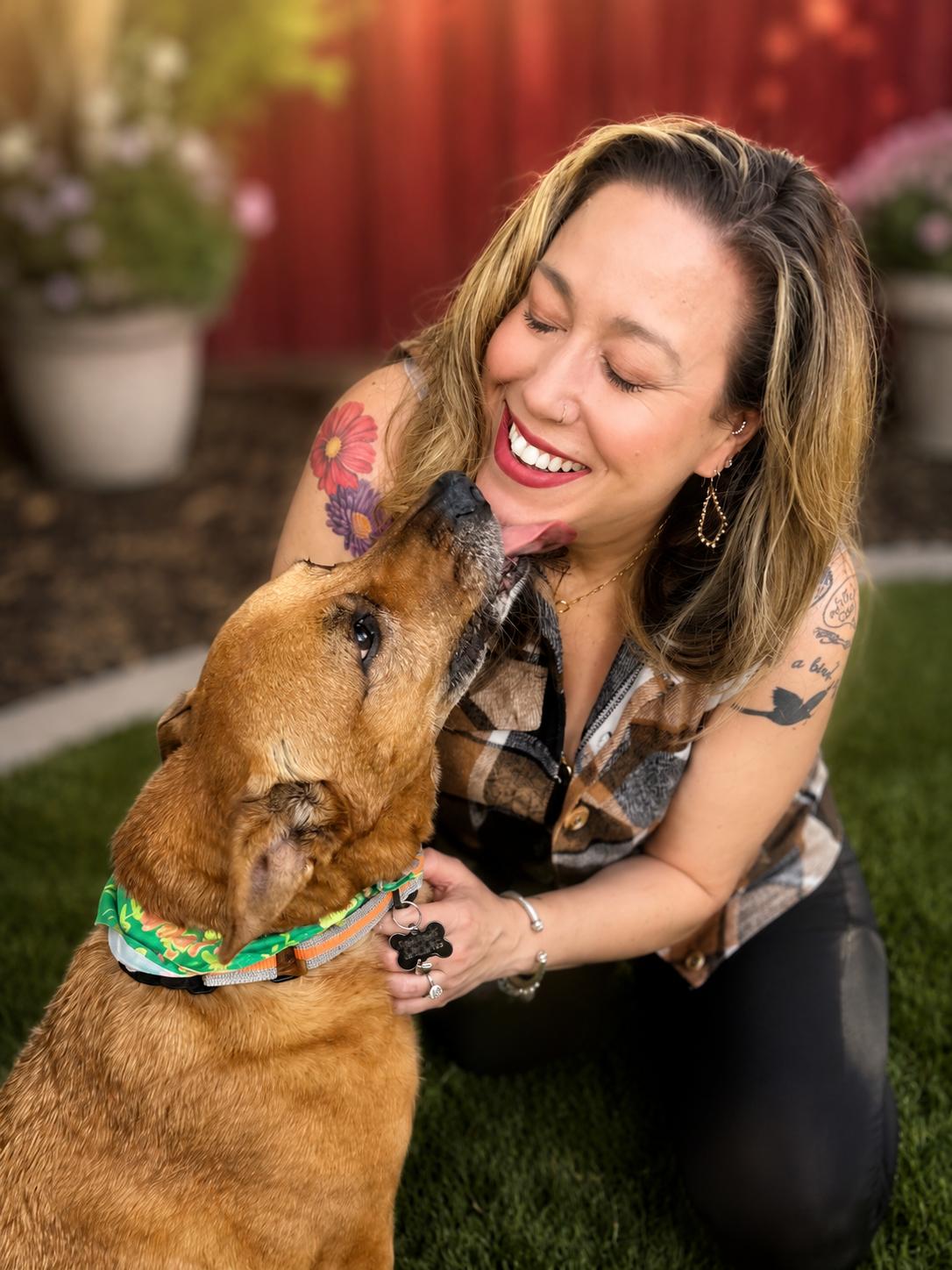 Michele, a ADOPTABLE mixed breed in Murrieta, CA image 4/6