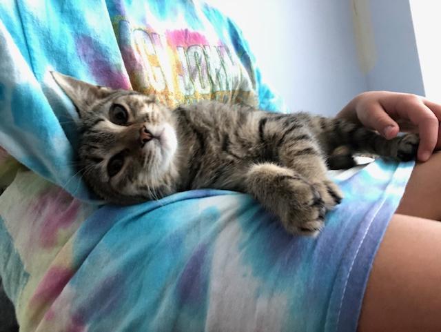 Gigi - Courtesy Post