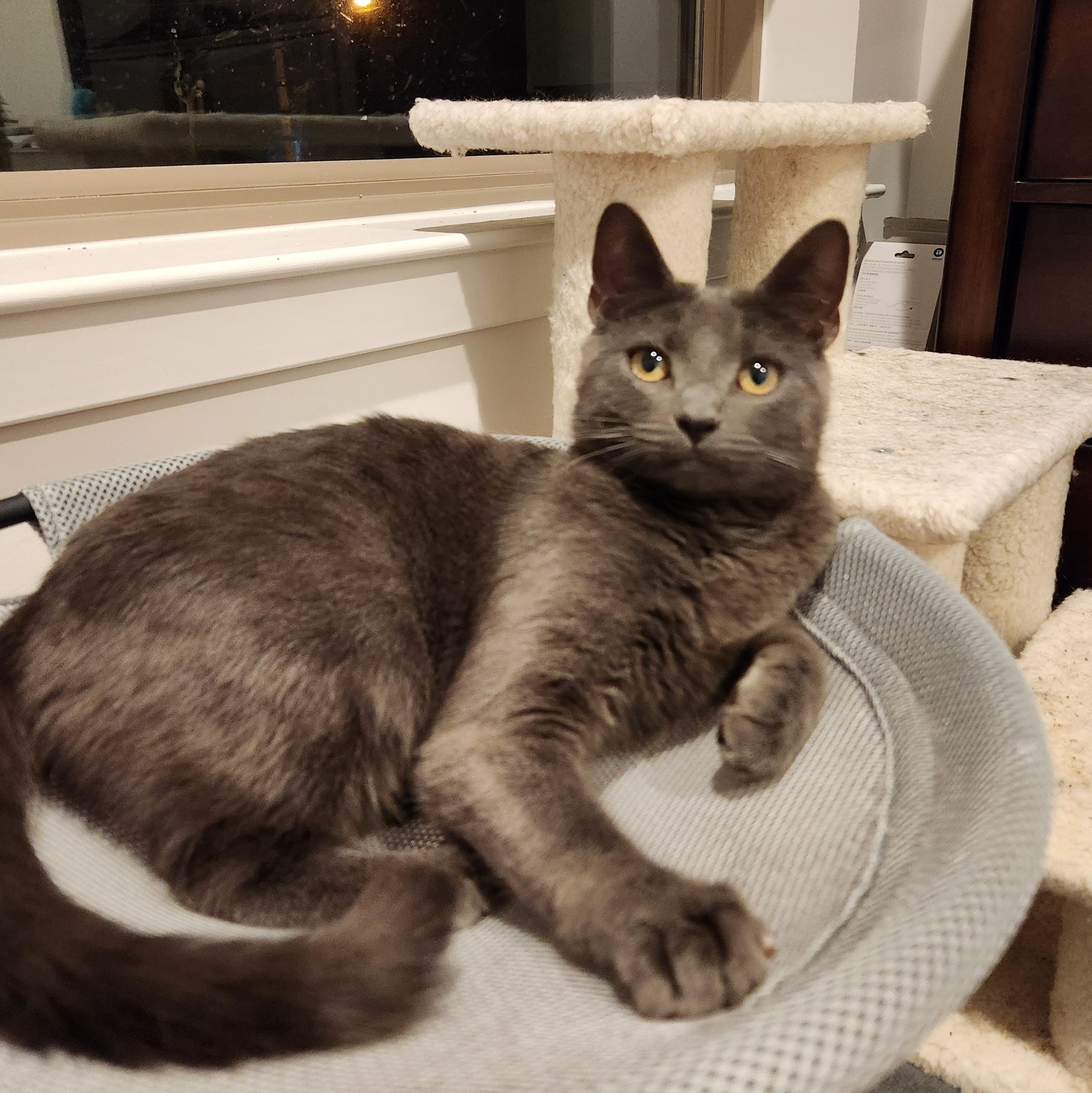 Flower-Beautiful & Sweet