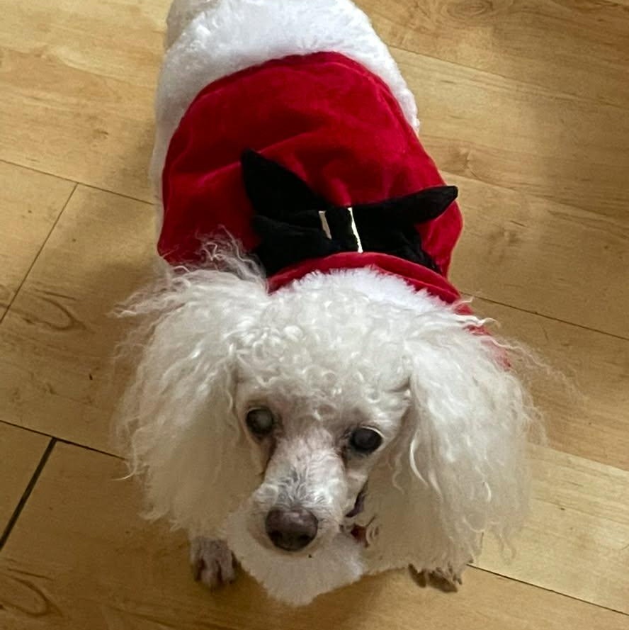 Lilith — thumbnail 3