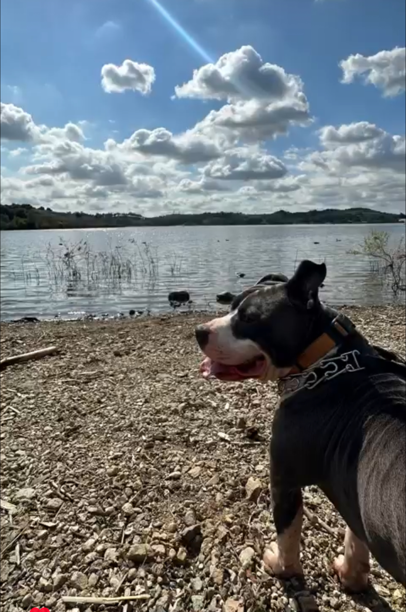 Jax