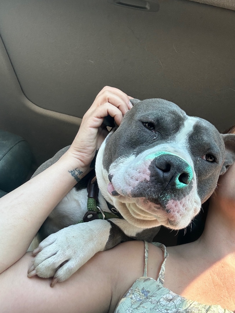 Jax