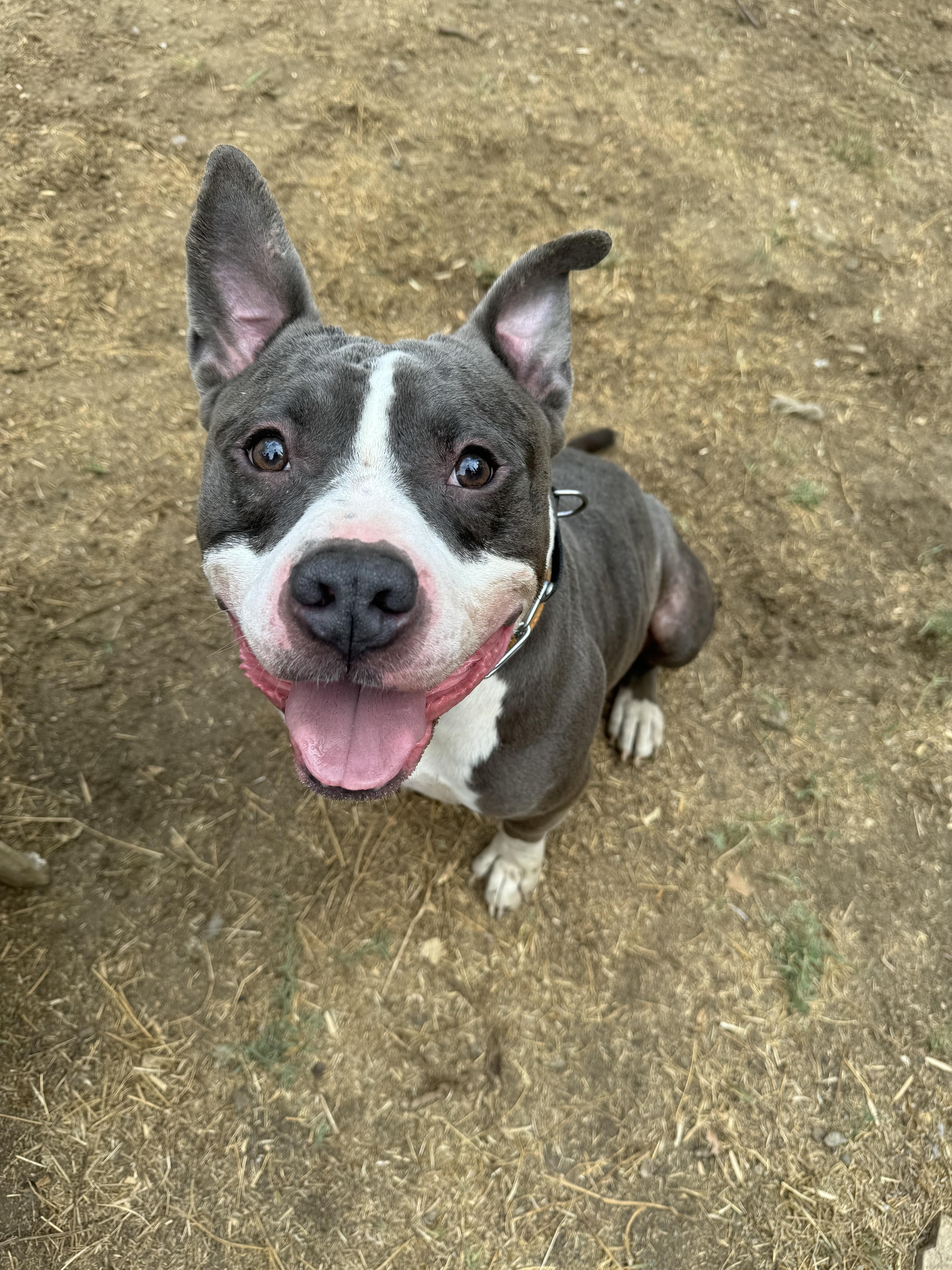 Jax