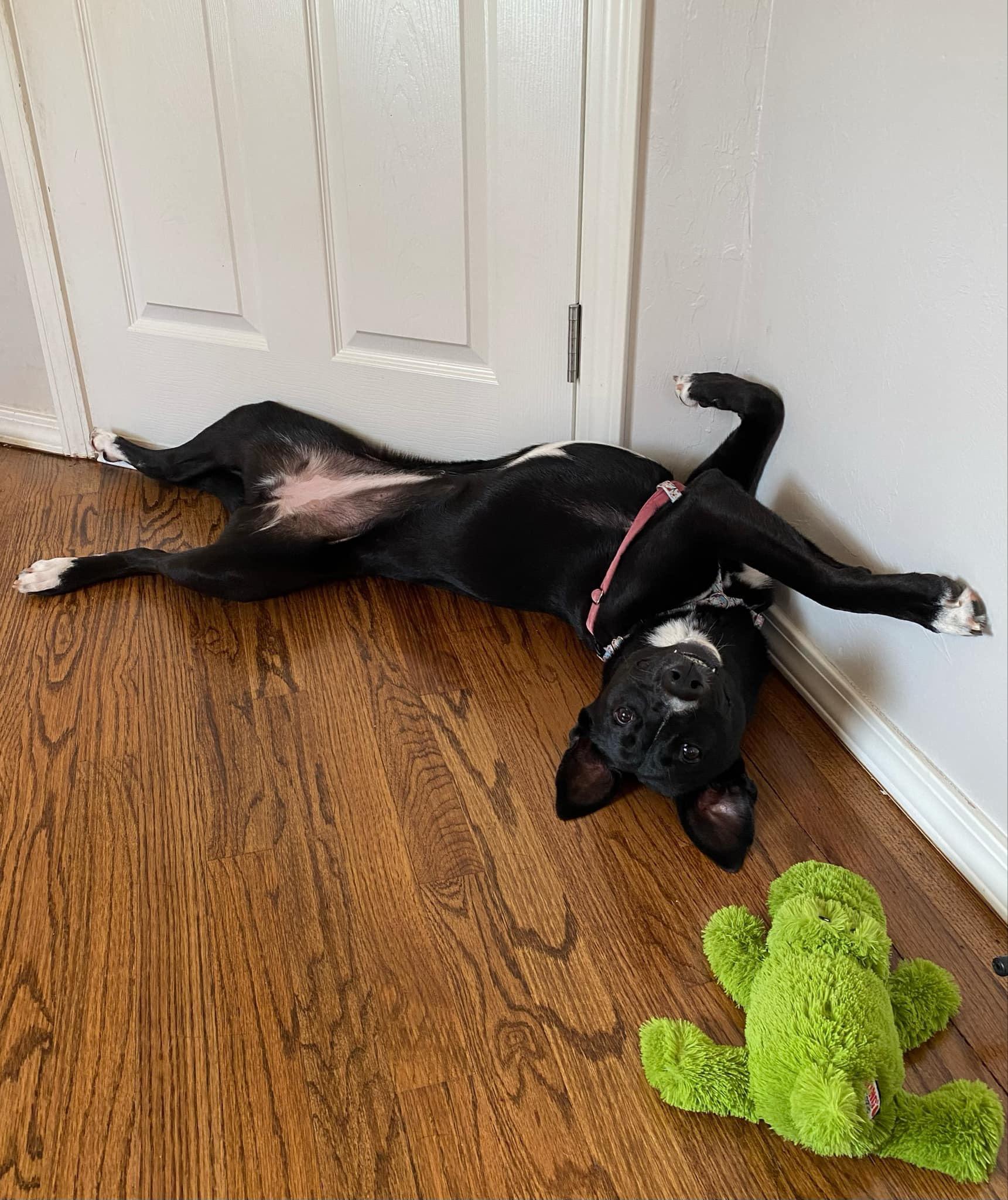Ryn FosterHome A439808 photo 3