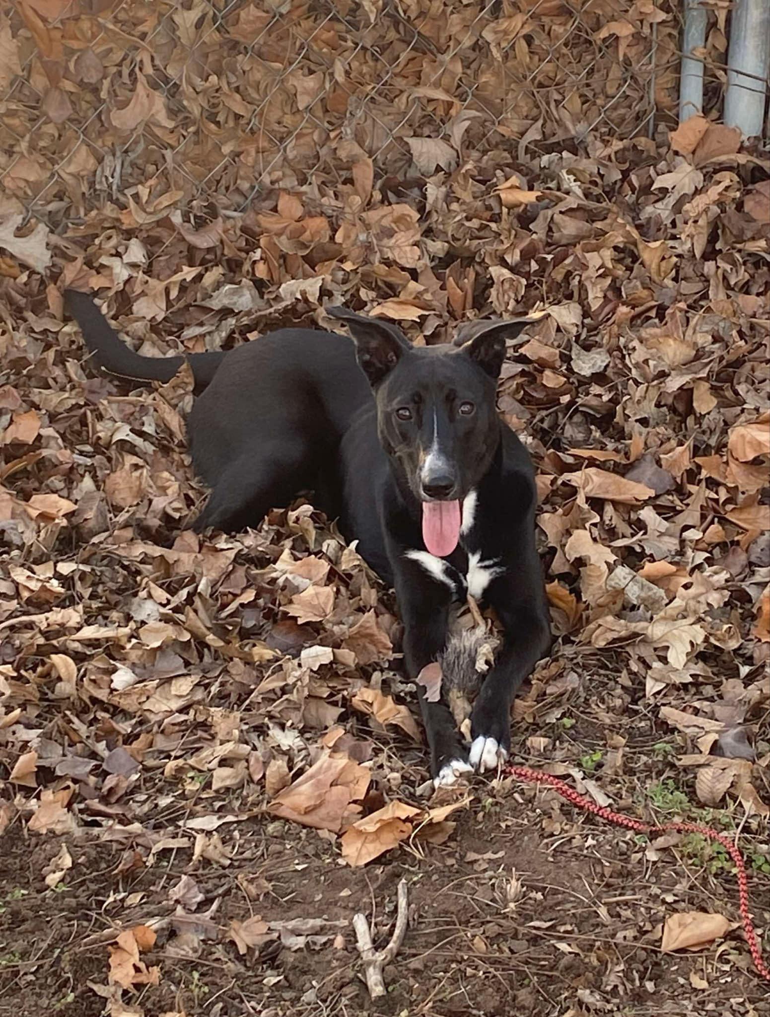 Ryn FosterHome A439808 photo 5