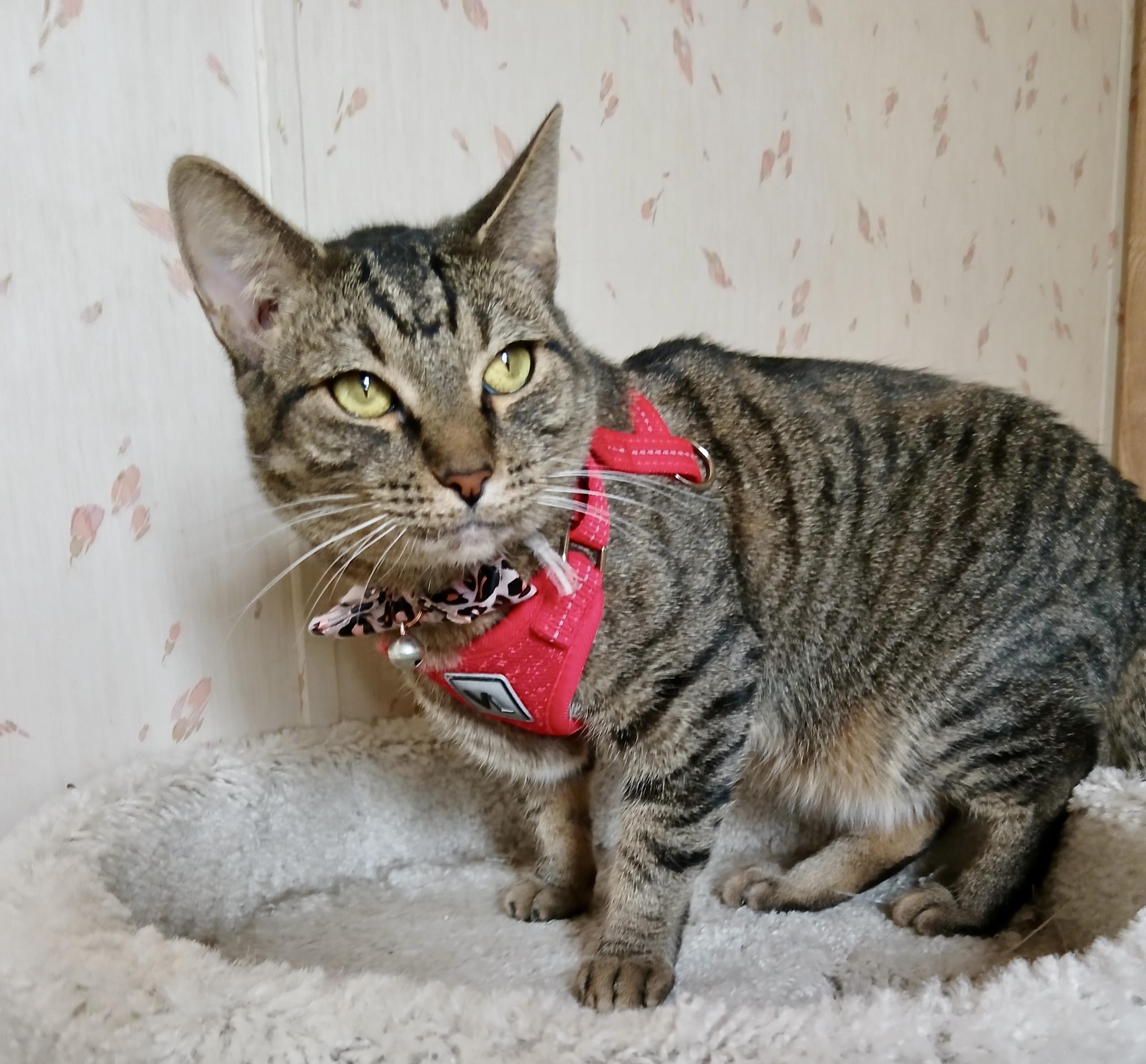 Kami, Baby Boy and Kari