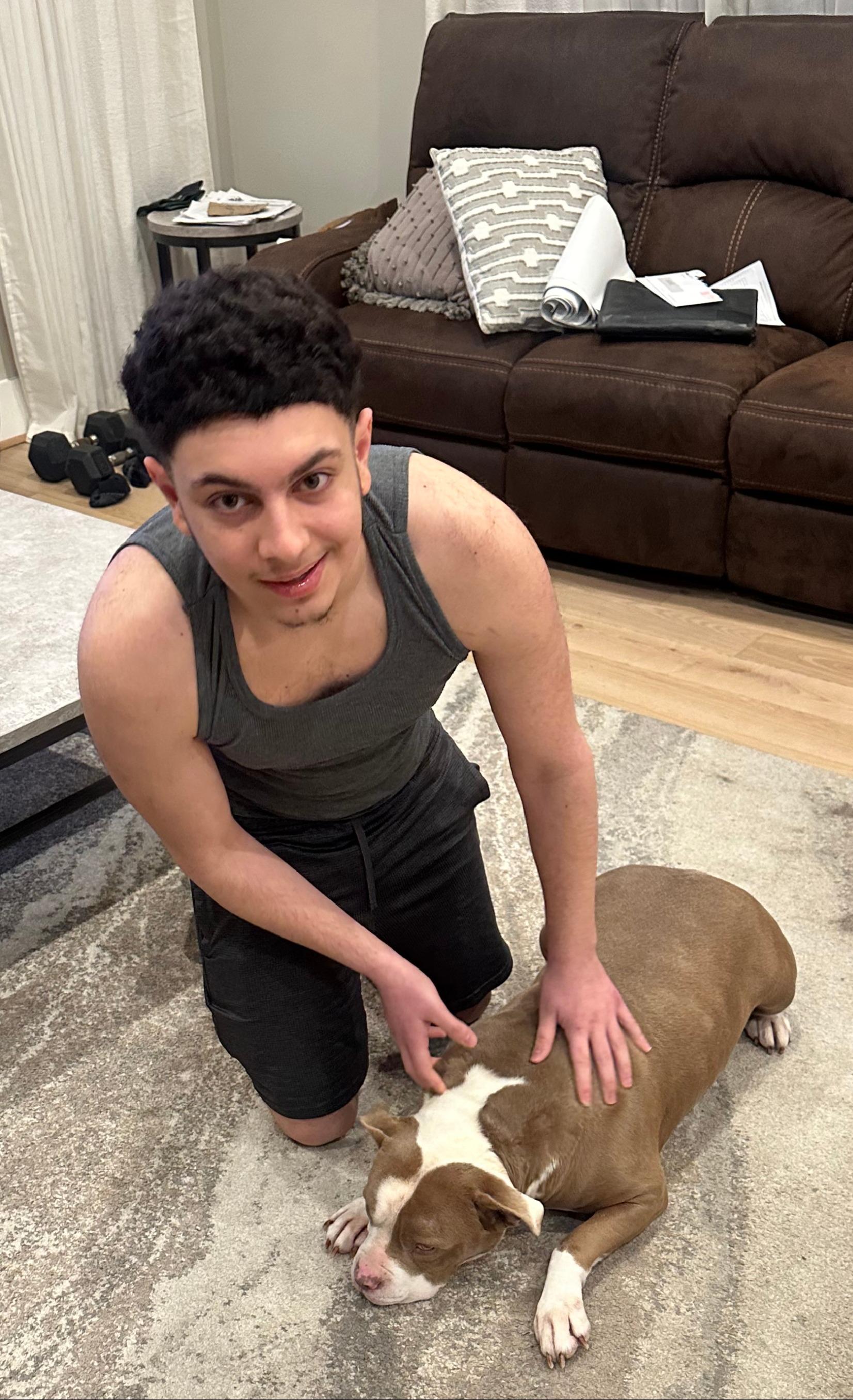 Enlarge Chewy, a ADOPTABLE American Staffordshire Terrier in Jarrettsville, MD image 6/6