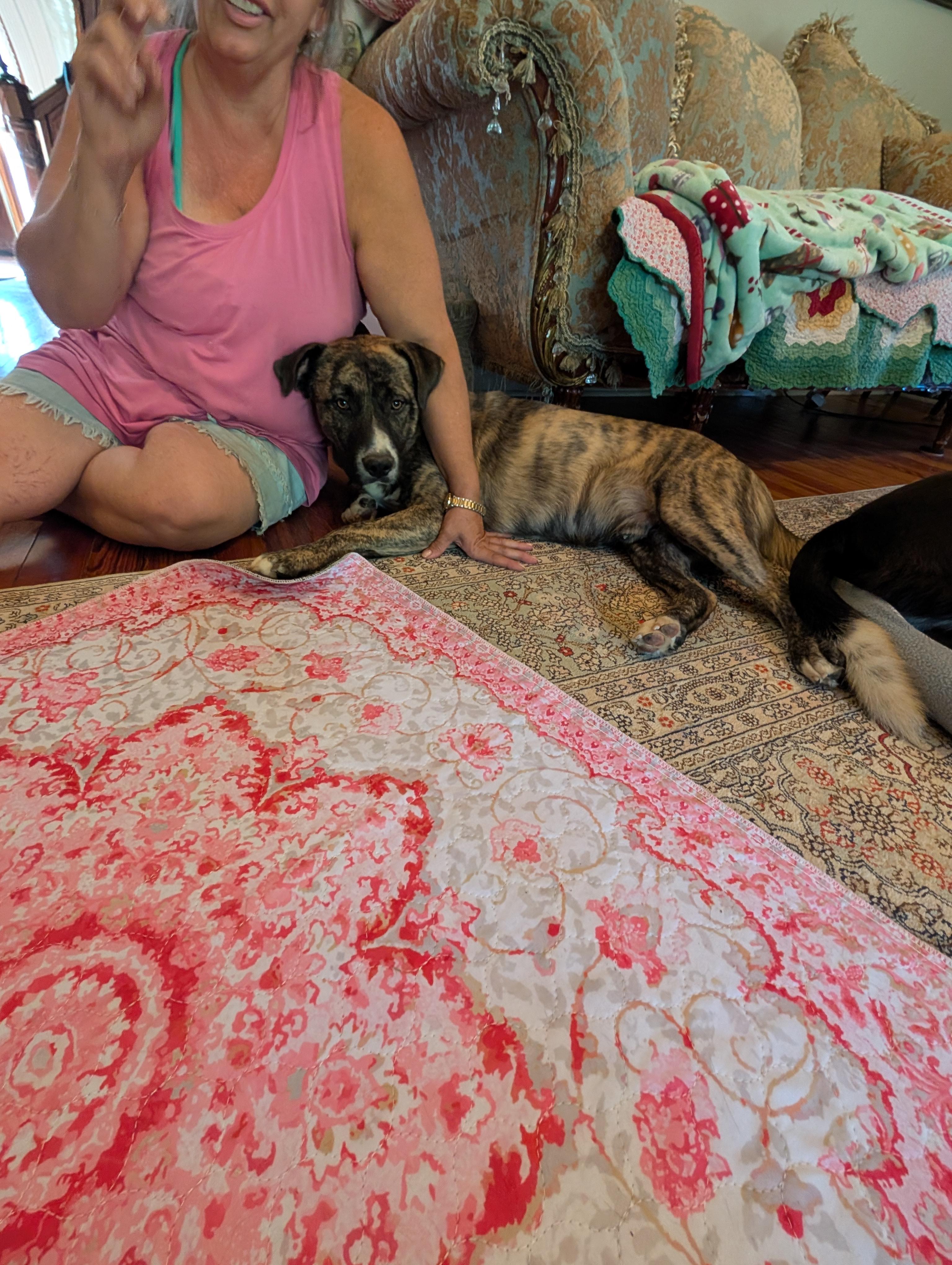 Enlarge Bonded pair, a Adoptable mixed breed in Austin , TX image 4/6