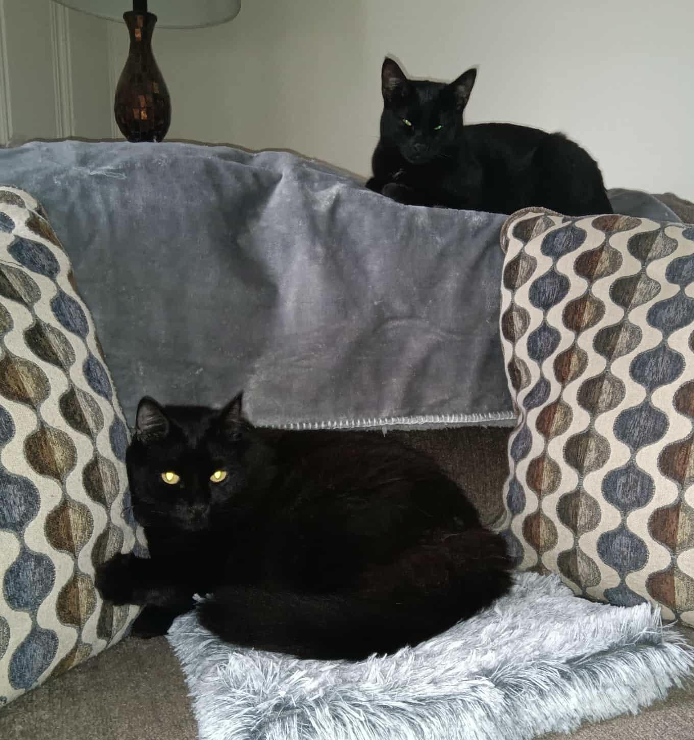 Rupert & Tallulah