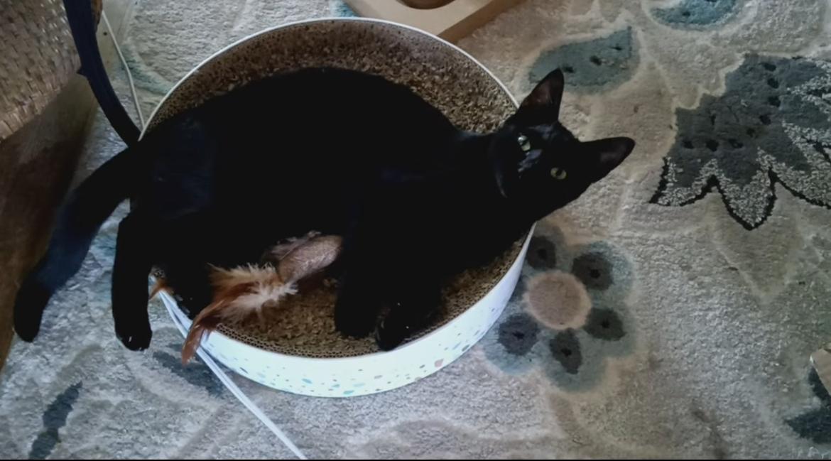Rupert & Tallulah