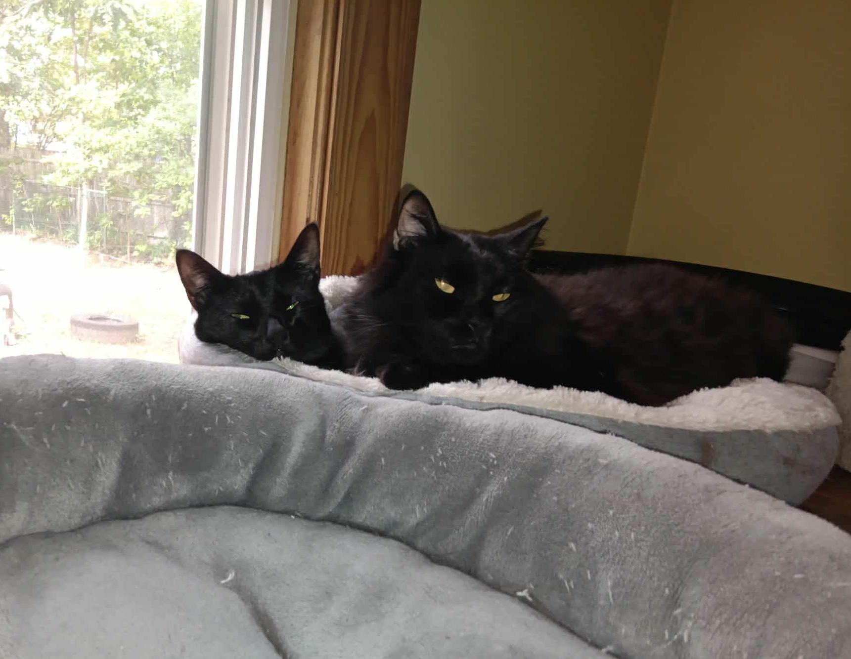 Rupert & Tallulah