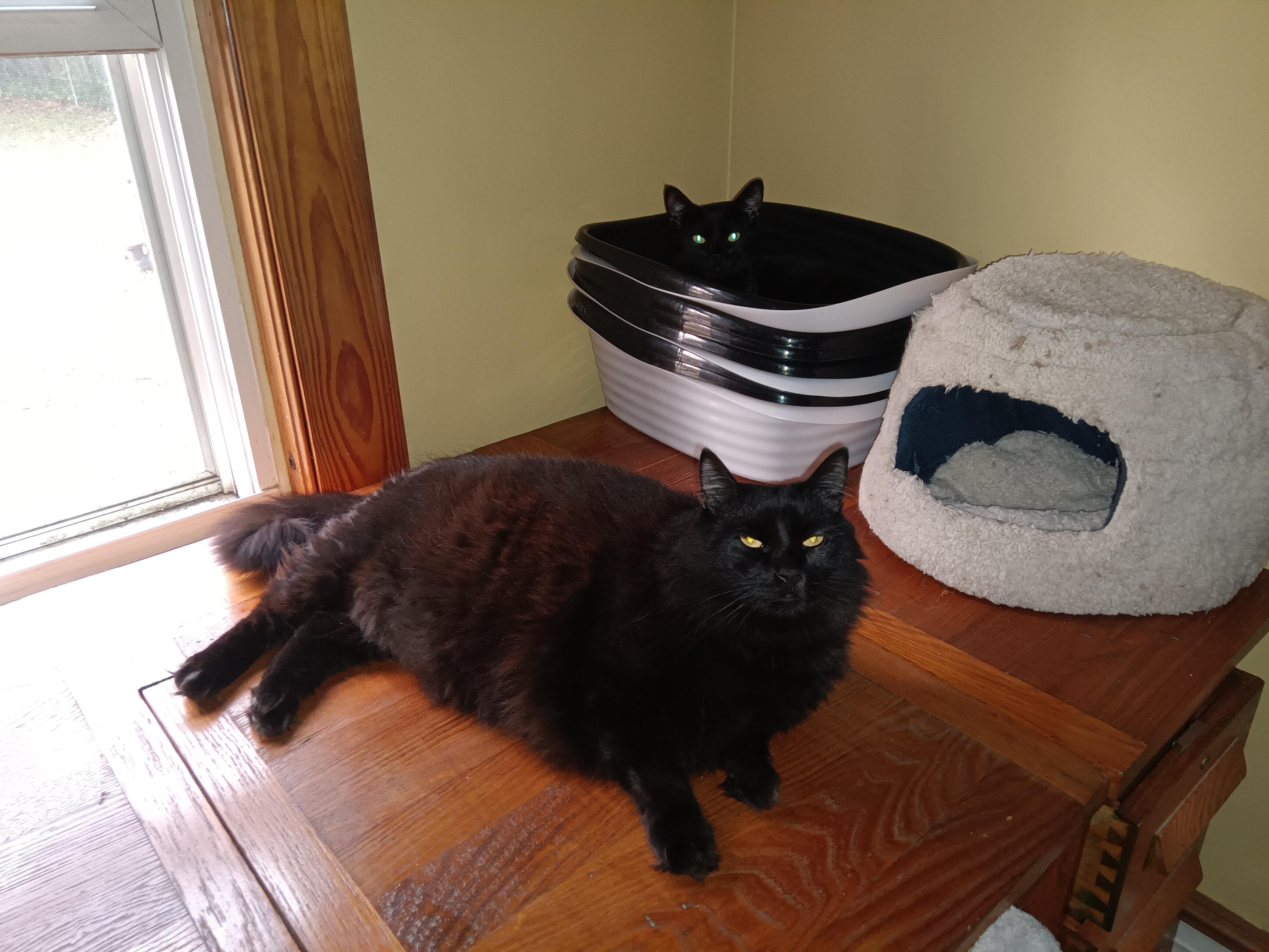 Rupert & Tallulah
