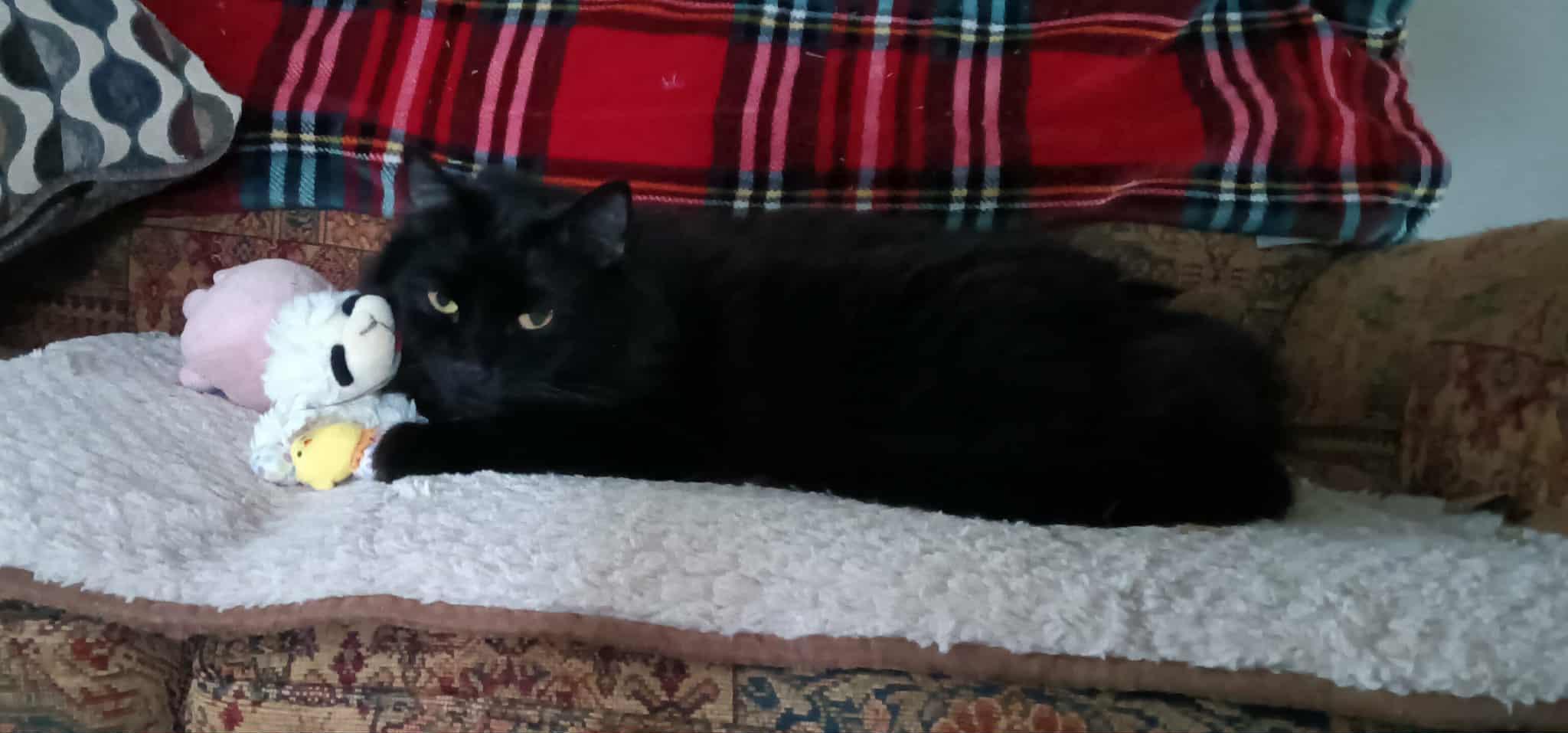 Rupert & Tallulah