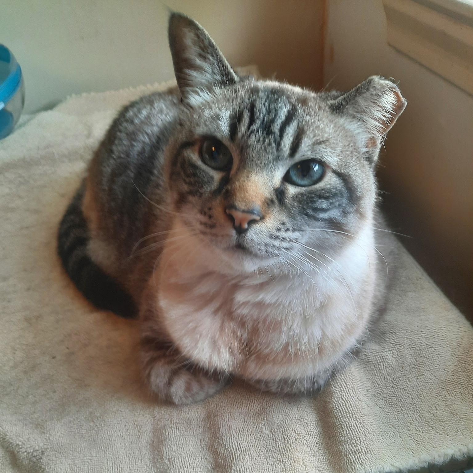 Missy