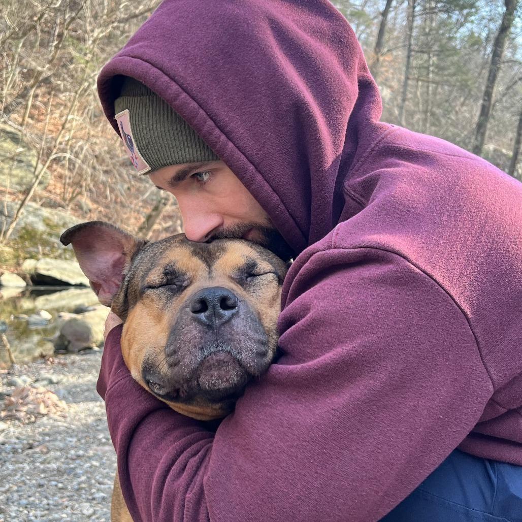 Bam Bam, a Adoptable Mixed Breed in Philadelphia, PA image 3/6