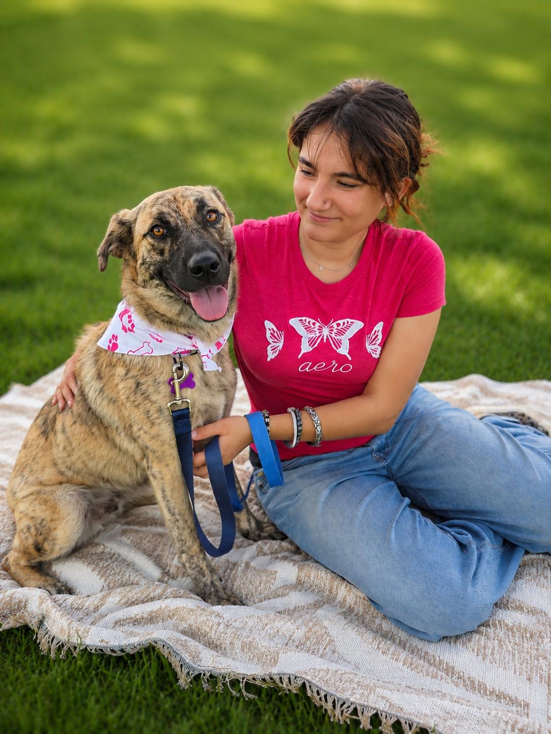 Pretty, a ADOPTABLE mixed breed in Menifee, CA image 5/6