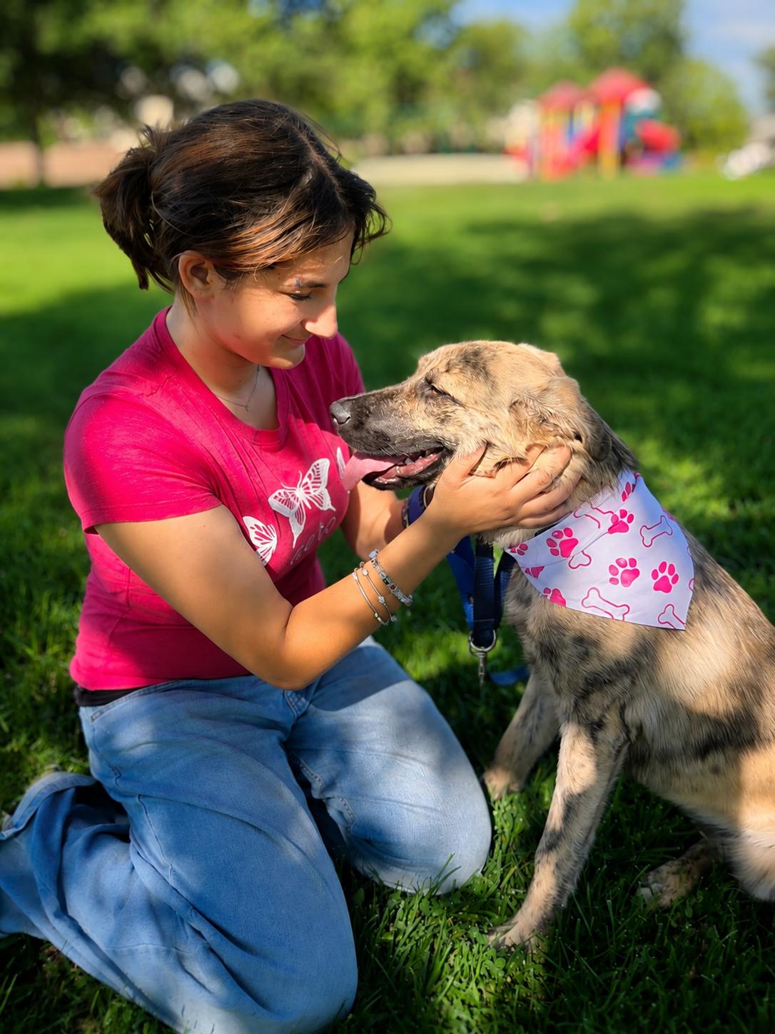 Pretty, a ADOPTABLE mixed breed in Menifee, CA image 6/6