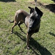 Franklin — thumbnail 3