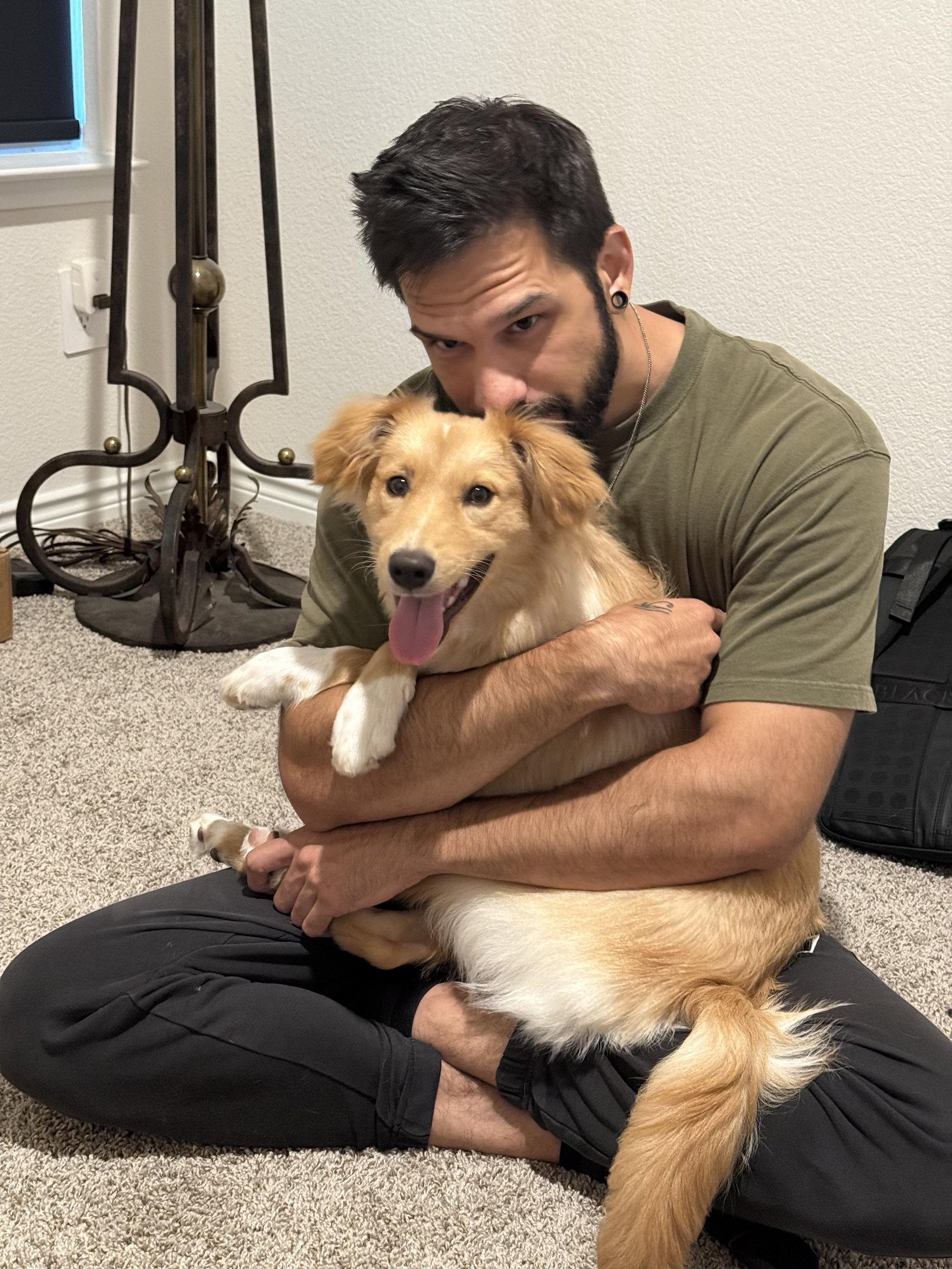 Enlarge Lilly, a Adopted mixed breed in Dallas, TX image 1/3