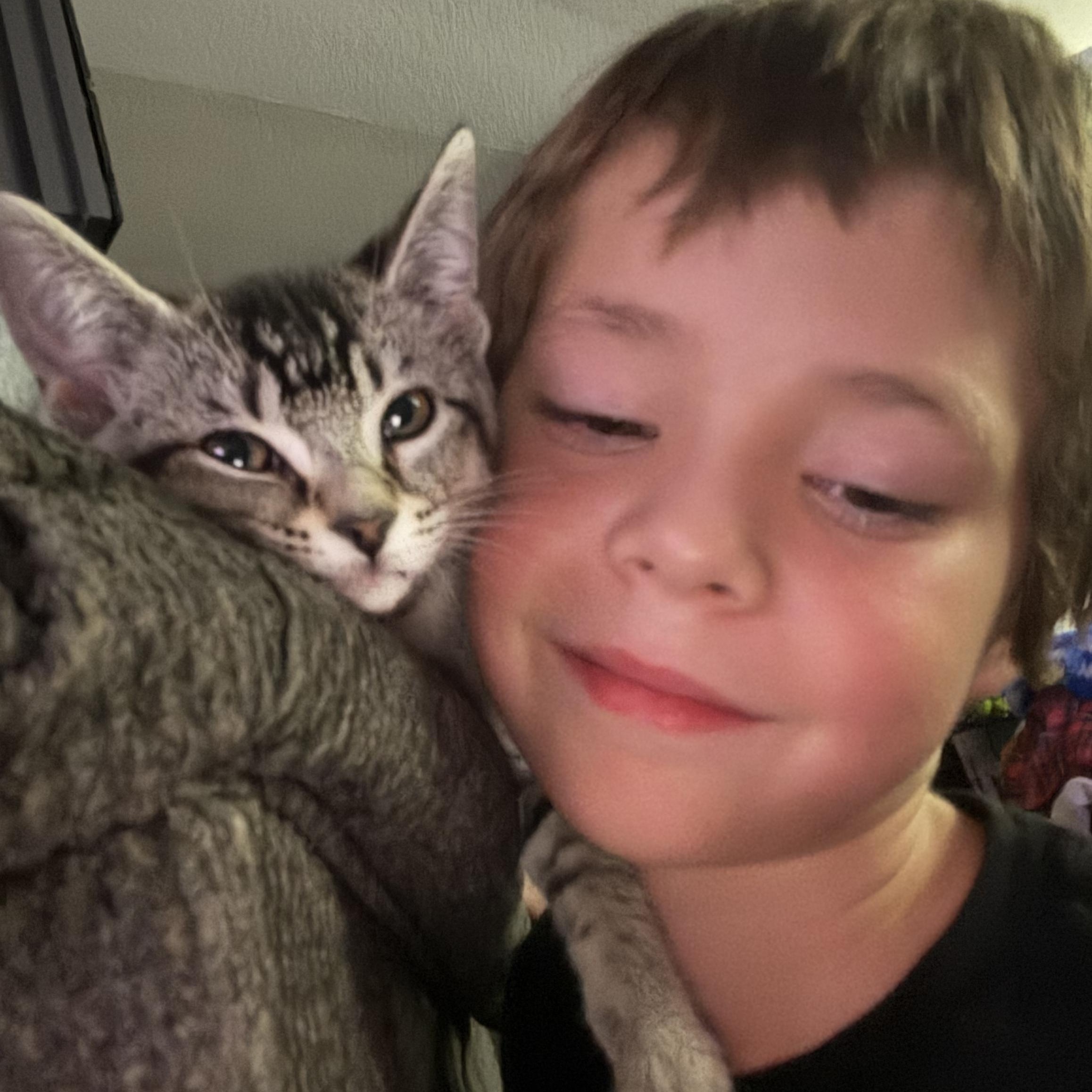 Freckles Indoor Only