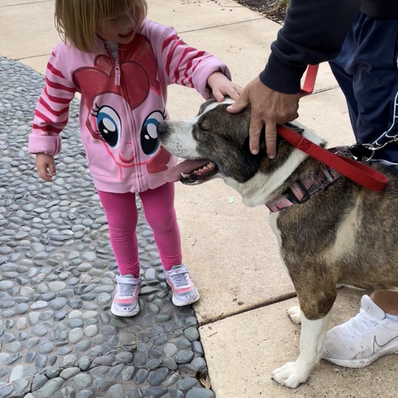 Wolfie — thumbnail 2