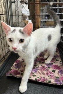 Timmy — thumbnail 2