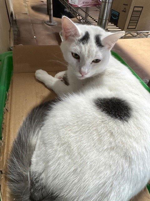 Timmy — thumbnail 3