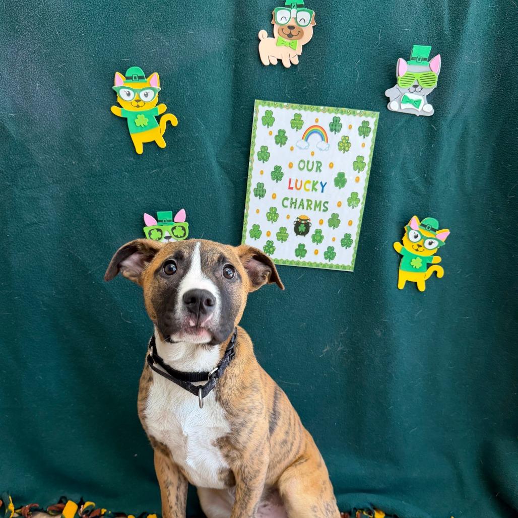 Heineken — thumbnail 2