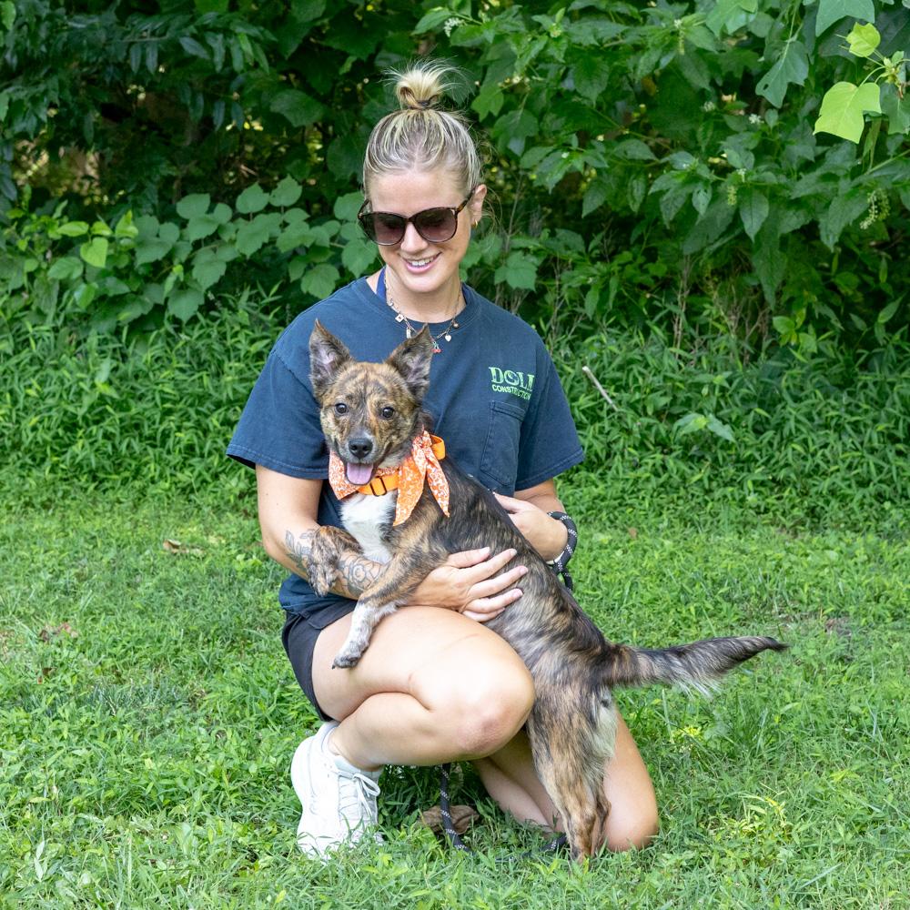 Chip (Male), an adopted mixed breed in West Grove, PA image 5/6