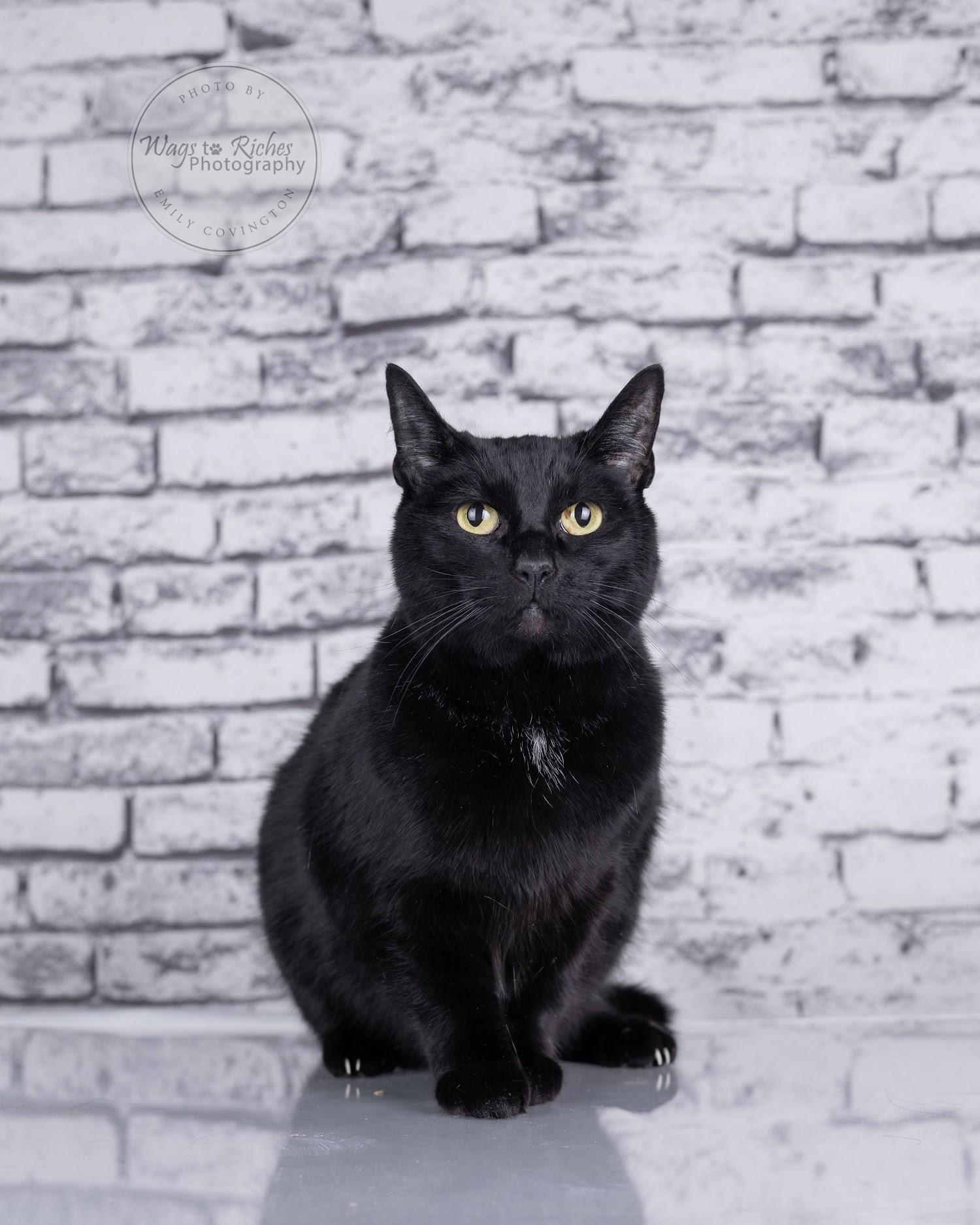 Wednesday — thumbnail 3