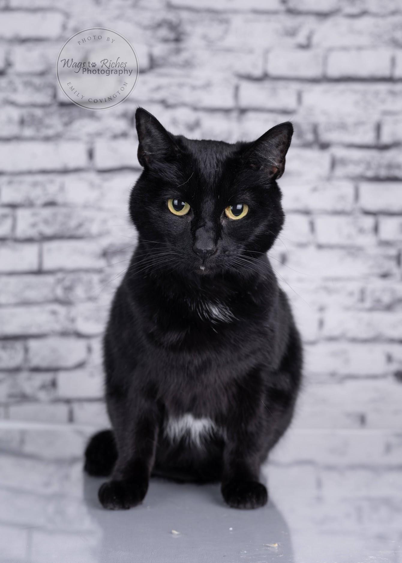 Wednesday — thumbnail 4