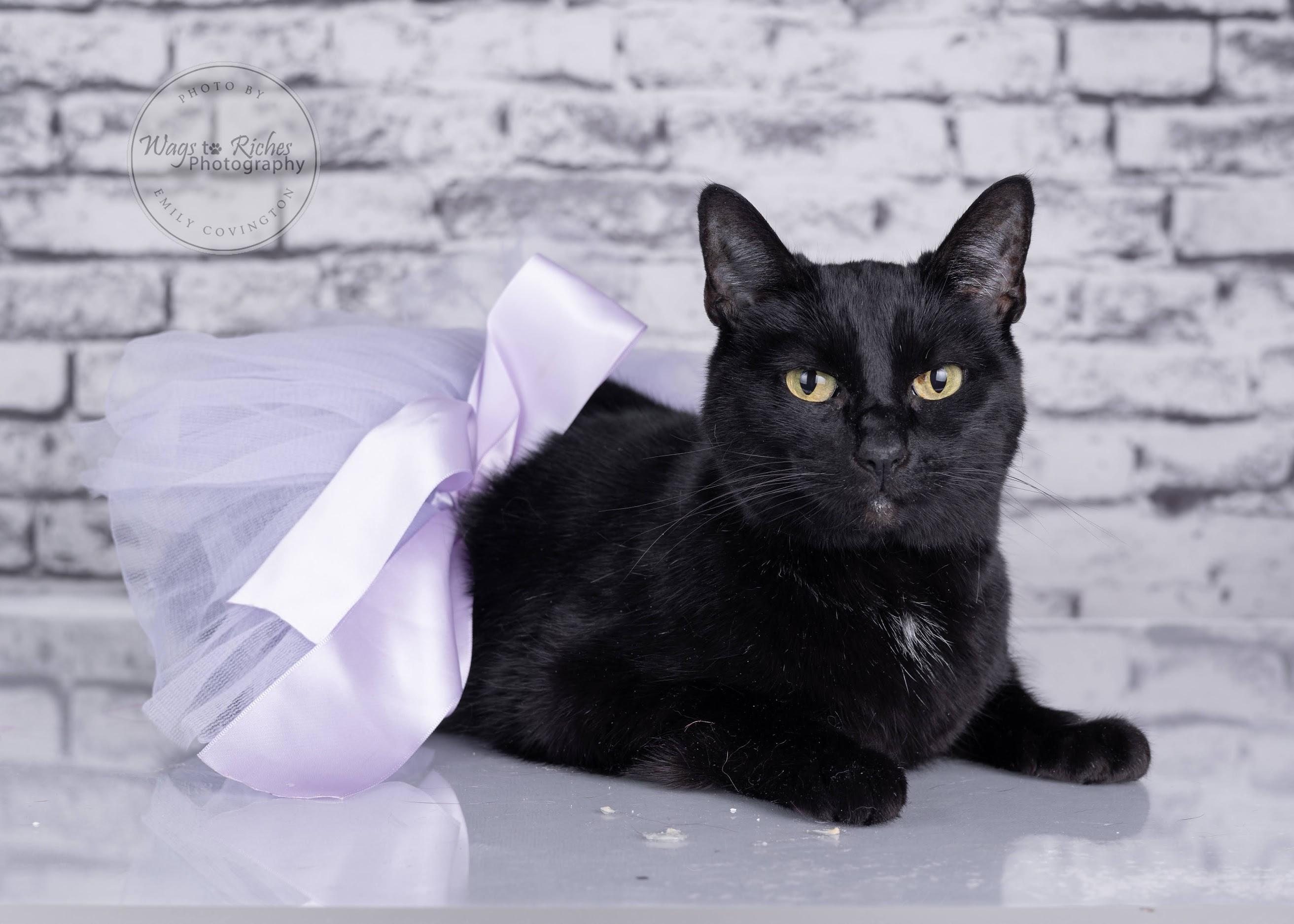 Wednesday — thumbnail 5