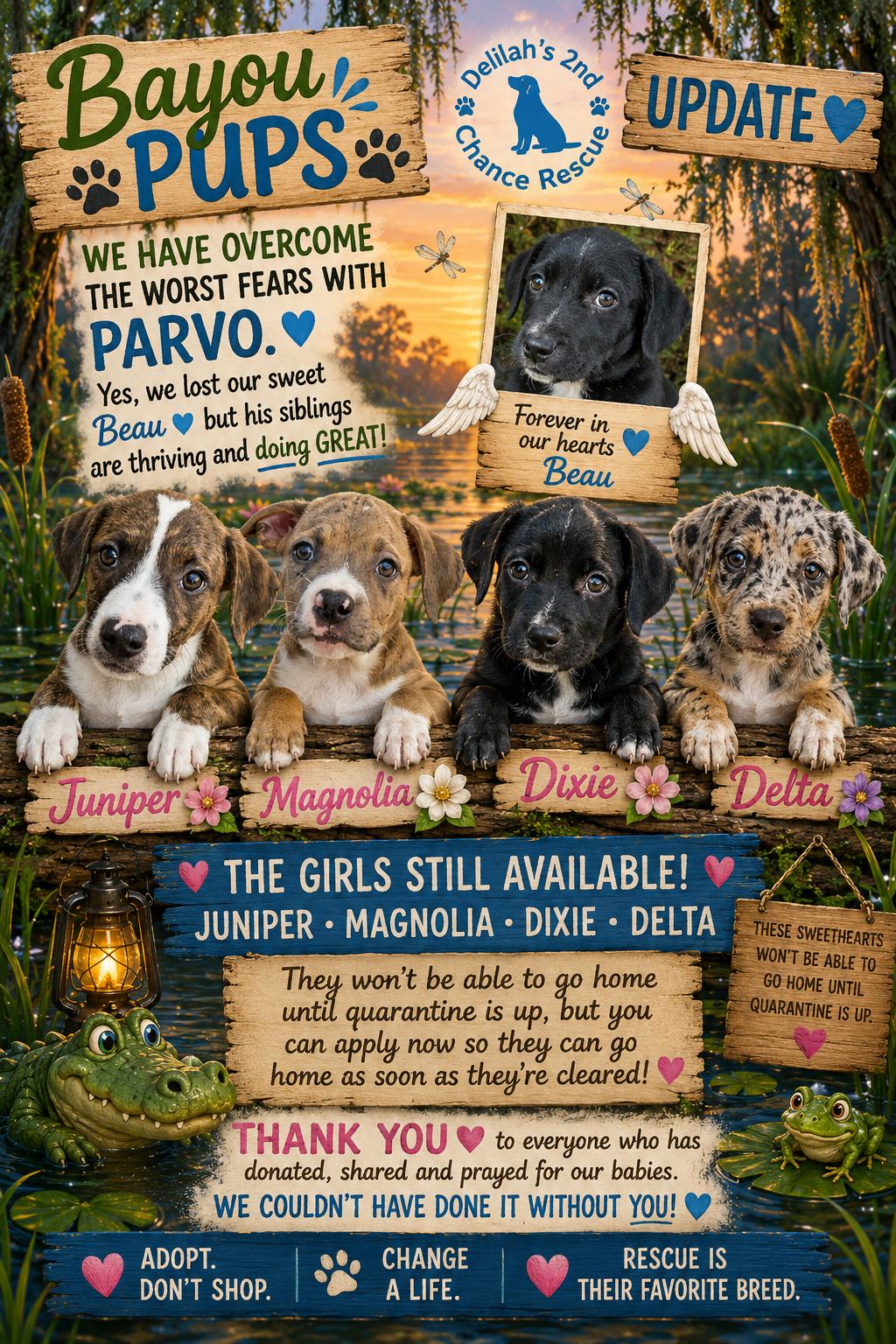 Bayou Pups-picture update coming soon, ADOPTABLE, Puppy Female Catahoula Leopard Dog.
