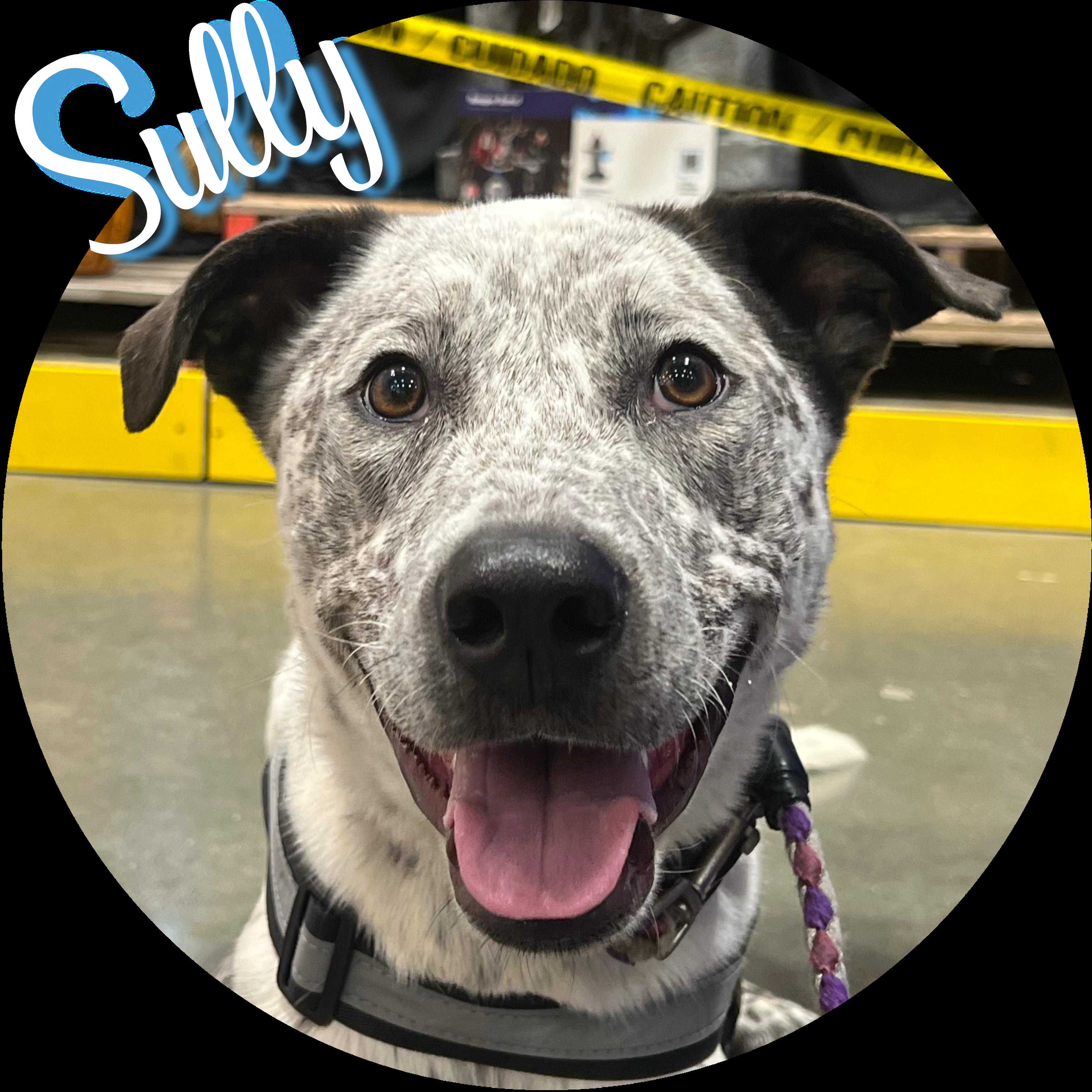 Sully