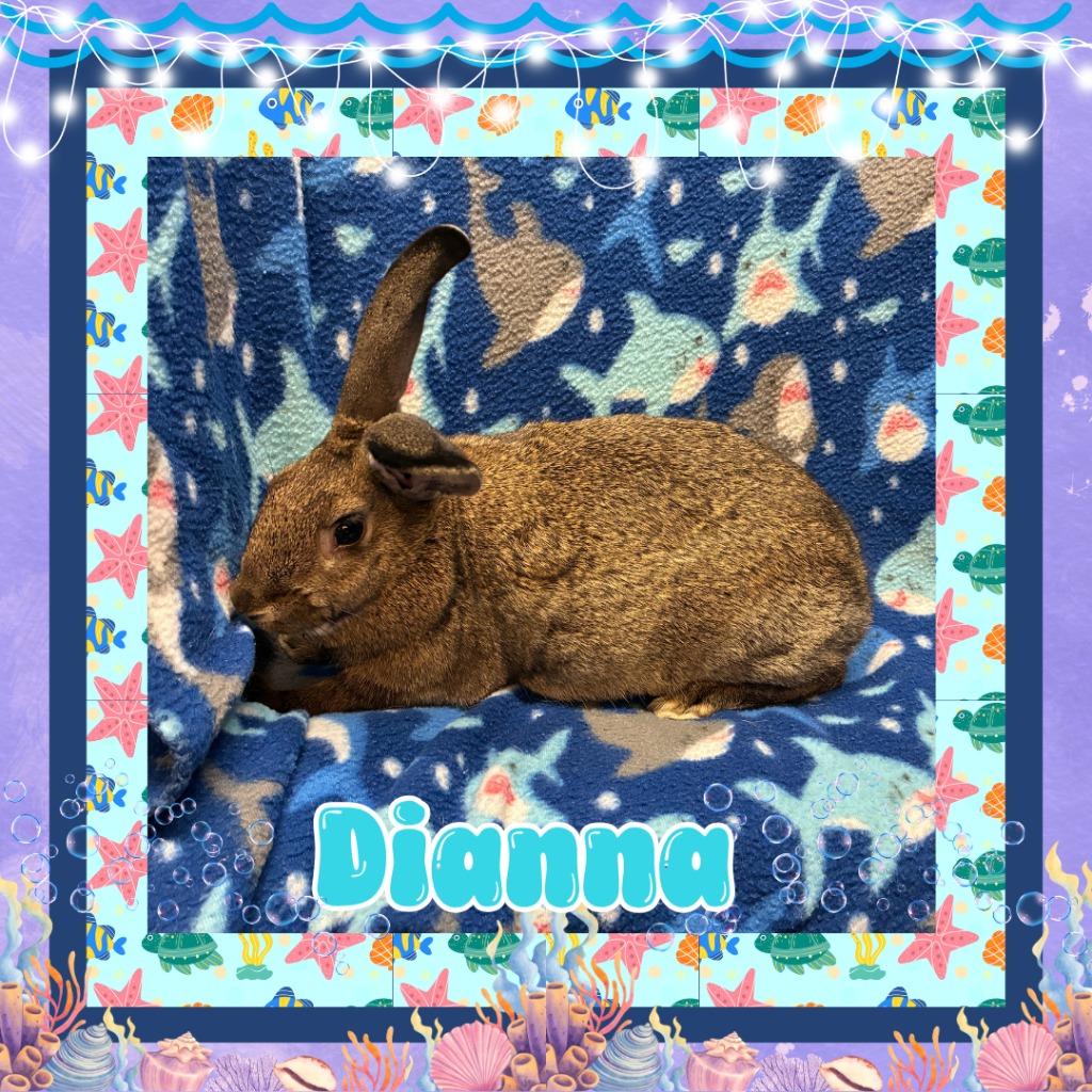 Dianna photo