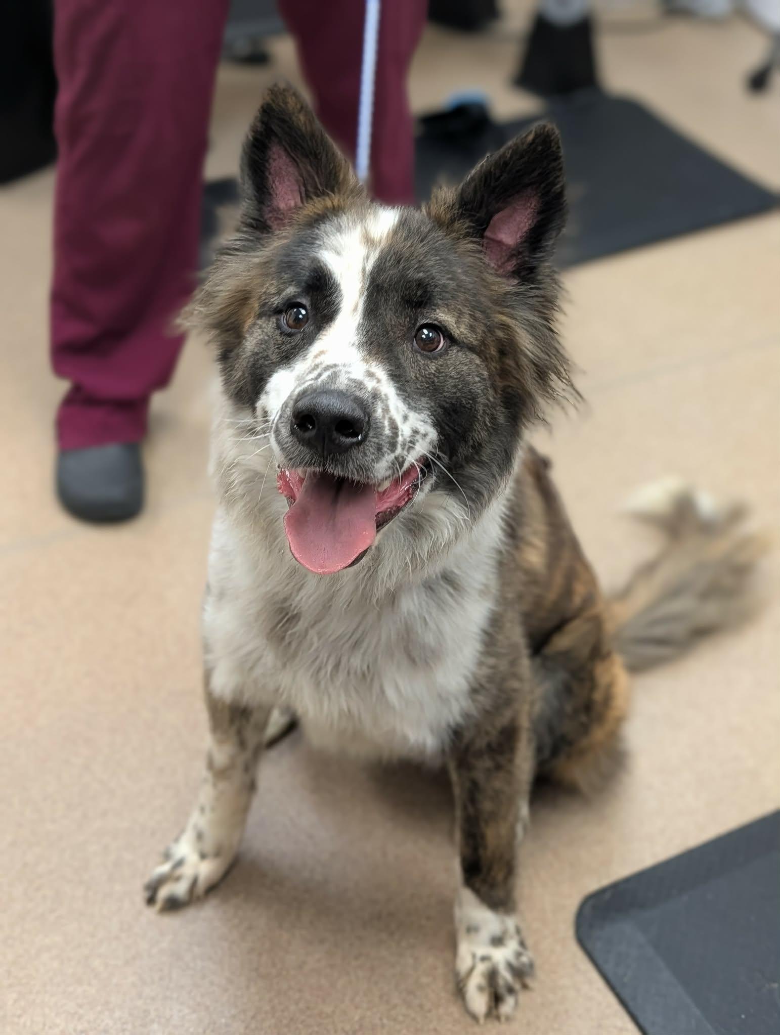 Hermes — thumbnail 2