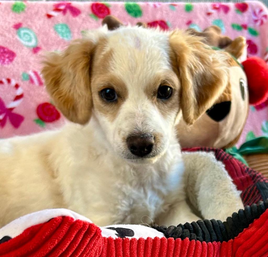 Professor thumbnail 2