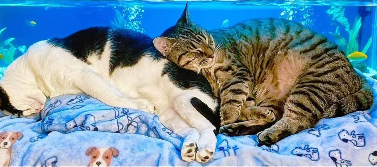 Missy & Minnie thumbnail 5