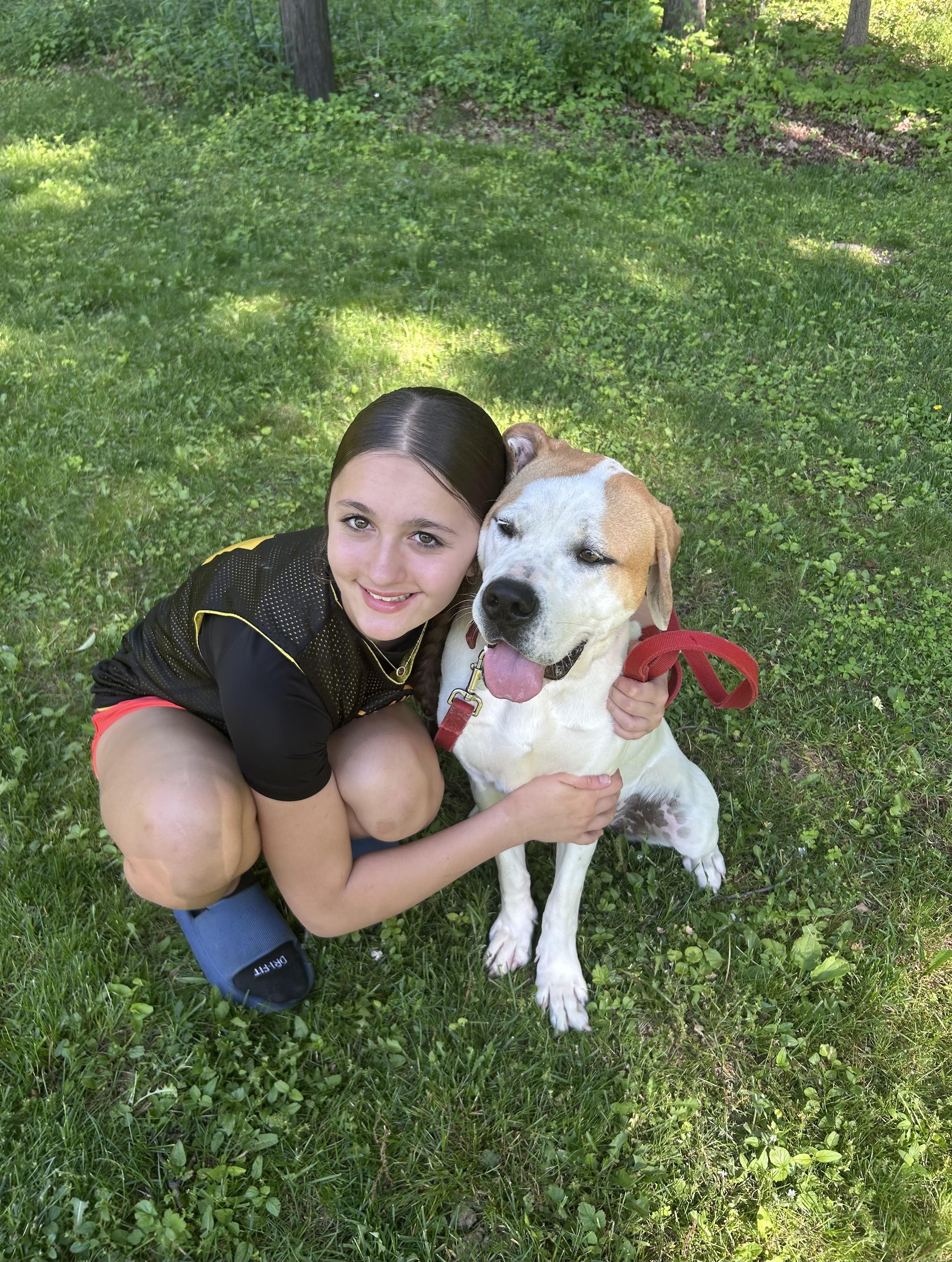 Enlarge Steph, a Adoptable mixed breed in Oxford, MI image 2/6