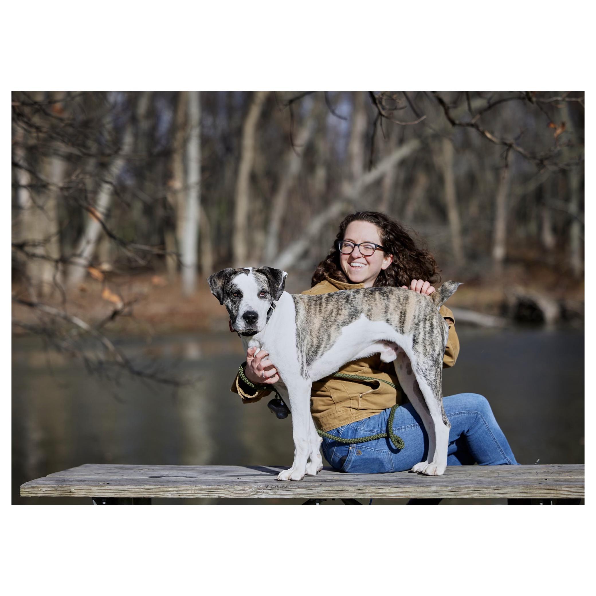 Zion, a Adoptable mixed breed in Chicago, IL image 5/5